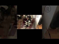 Yanmar 3TNV70-S Dreizylinder-Dieselmotor: Kompakt und langlebig