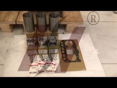 Hochwertige Ersatz-Zylinderlaufbuchse und Zylinderkopfdichtung für den 3D74E Motor.