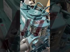 Kubota D902-EF01-CN4 Motorbaugruppe: 3600 U/min, 18,2 kW