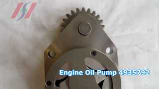 Engine Oil Pump 4935792 6BT 6D102 4BT Diesel