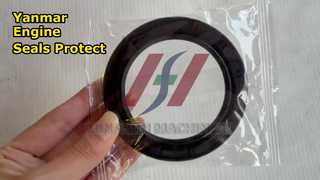 Yanmar 4TNV106 Crankshaft Seals
